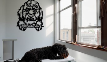 Labradoodle Köpek Lazer Kesim Metal Tablo