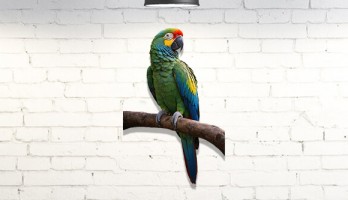 Renkli Papağan Lazer Kesim Metal Tablo