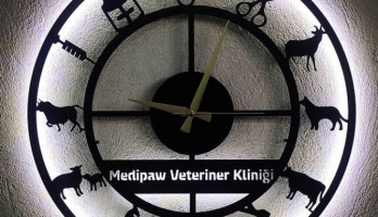 Veteriner Kliniğine Özel Ledli Metal Duvar Saati